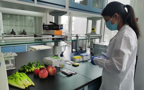 食品安全檢測(cè) 食品安全檢測(cè)